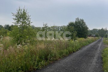 Фото №2: Дачное некоммерческое партнерство - ДНТ Степановское, мкр. квартал 50449, ул. Лесная