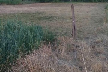 Фото №3: Земельный участок под ИЖС 11.83 сот. - Старовеличковская, ул. Ипподромная, 29