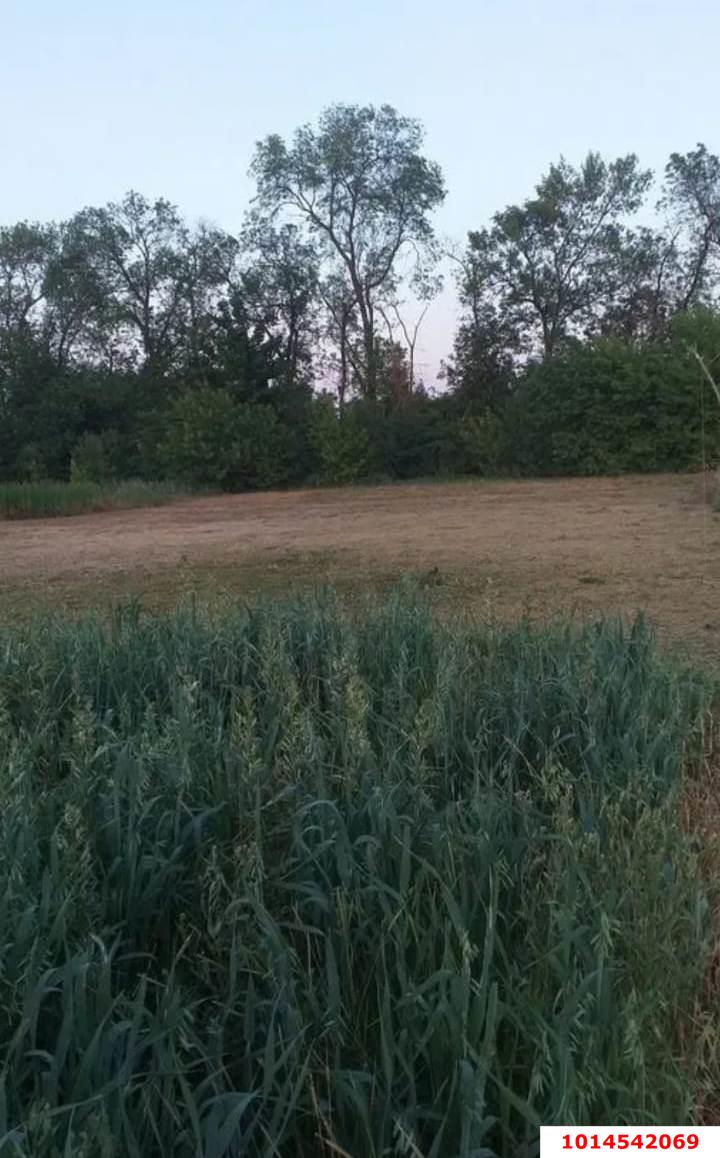 Фото №4: Земельный участок под ИЖС - Старовеличковская, ул. Ипподромная, 29