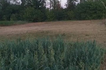 Фото №4: Земельный участок под ИЖС 11.83 сот. - Старовеличковская, ул. Ипподромная, 29