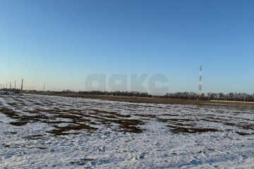 Фото №5: Земельный участок под ИЖС 11.83 сот. - Старовеличковская, ул. Ипподромная, 29