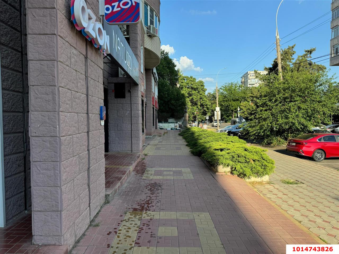 Фото №6: Торговое помещение 714 м² - Краснодар, Западный внутригородской округ, ул. Бабушкина, 295