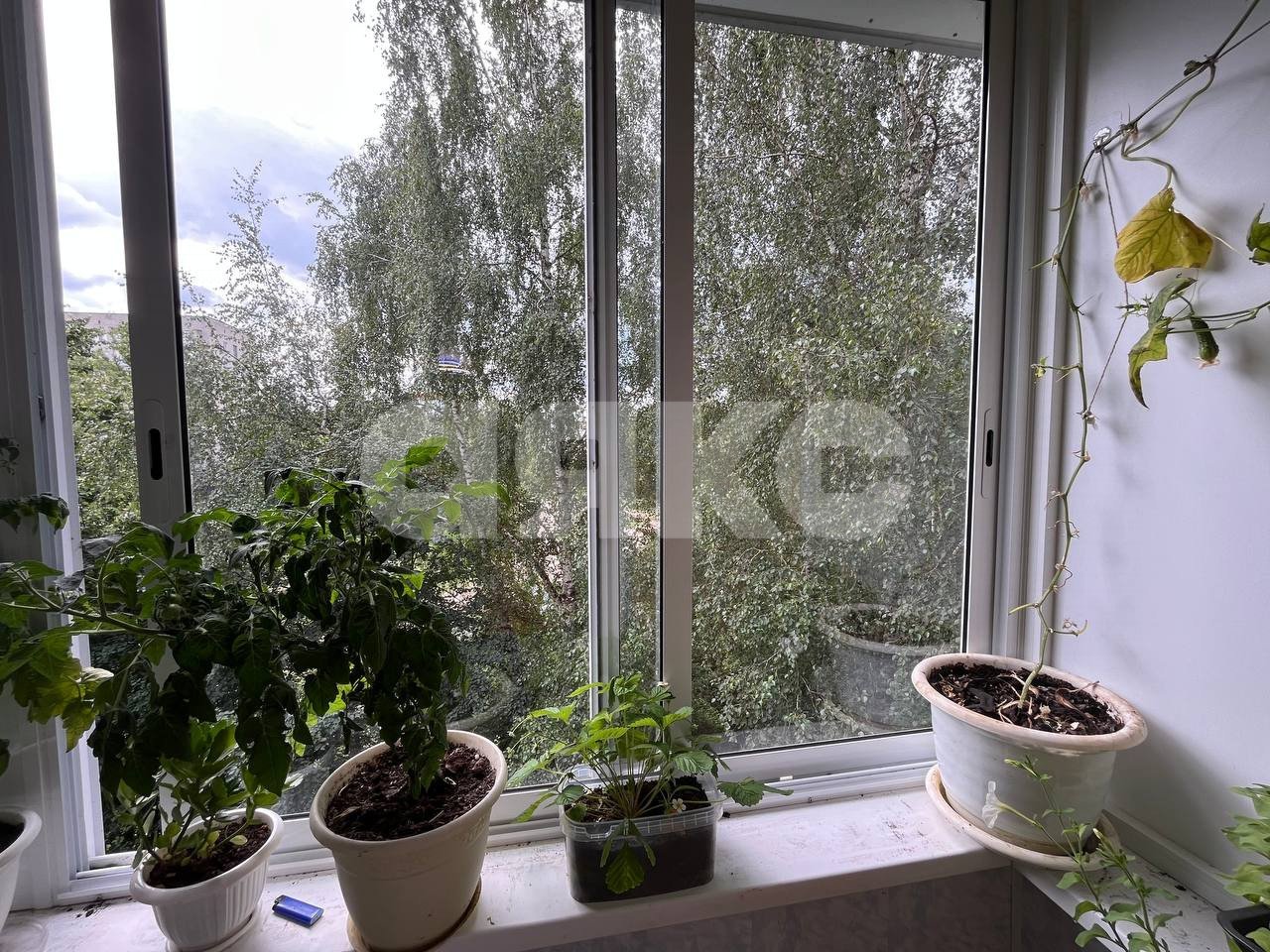 Фото №18: 2-комнатная квартира 44 м² - Алексин, Бор, ул. 50 лет Октября, 7Б