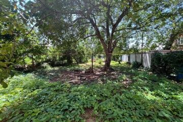 Фото №3: Дом 258 м² - Новая Адыгея, ул. Дачная, 4