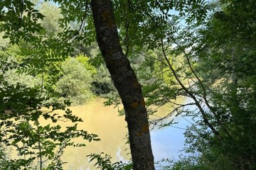 Фото №5: Коммерческая земля 8 сот. - Горячий Ключ, 