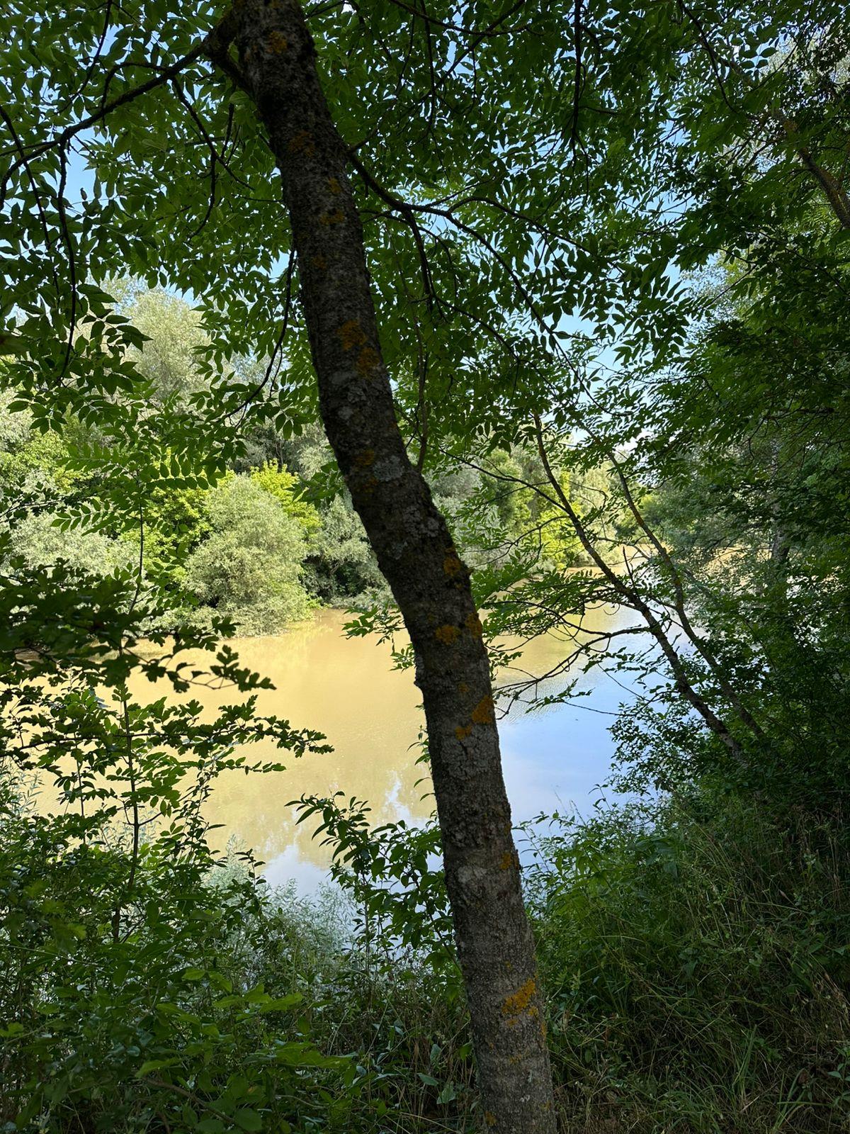 Фото №5: Коммерция 8 м² - Горячий Ключ