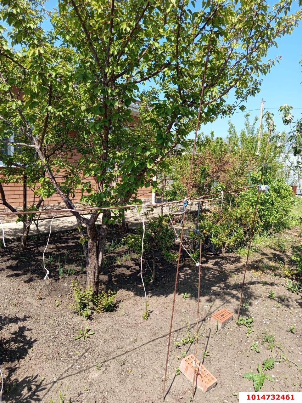 Фото №14: Дом 101 м² + 7 сот. - Ленина, территория ДНТ Виктория, ул. Краснодарская