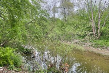 Фото №2: Дом 286 м² - Крепостная, ул. Кирова, 7