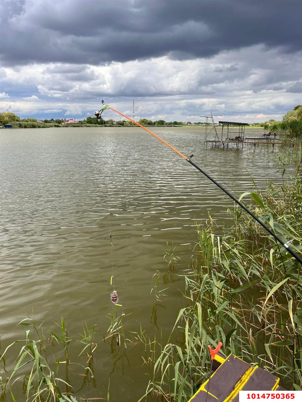 Фото №2: Земельный участок под ИЖС 28 сот. - Медвёдовская, ул. Московская, 25