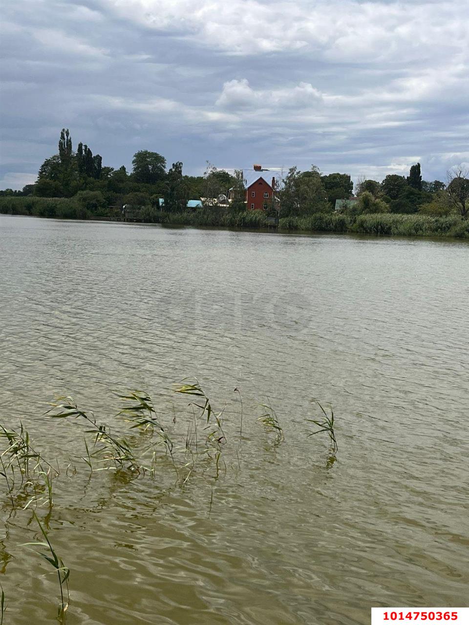 Фото №8: Земельный участок 28 сот. - Медвёдовская, ул. Московская, 25