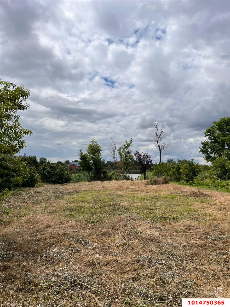 Фото №6: Земельный участок под ИЖС 28 сот. - Медвёдовская, ул. Московская, 25