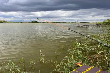 Фото №2: Земельный участок 28 сот. - Медвёдовская, ул. Московская, 25