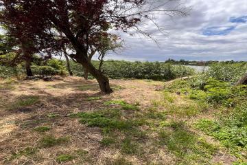 Фото №5: Земельный участок 28 сот. - Медвёдовская, ул. Московская, 25