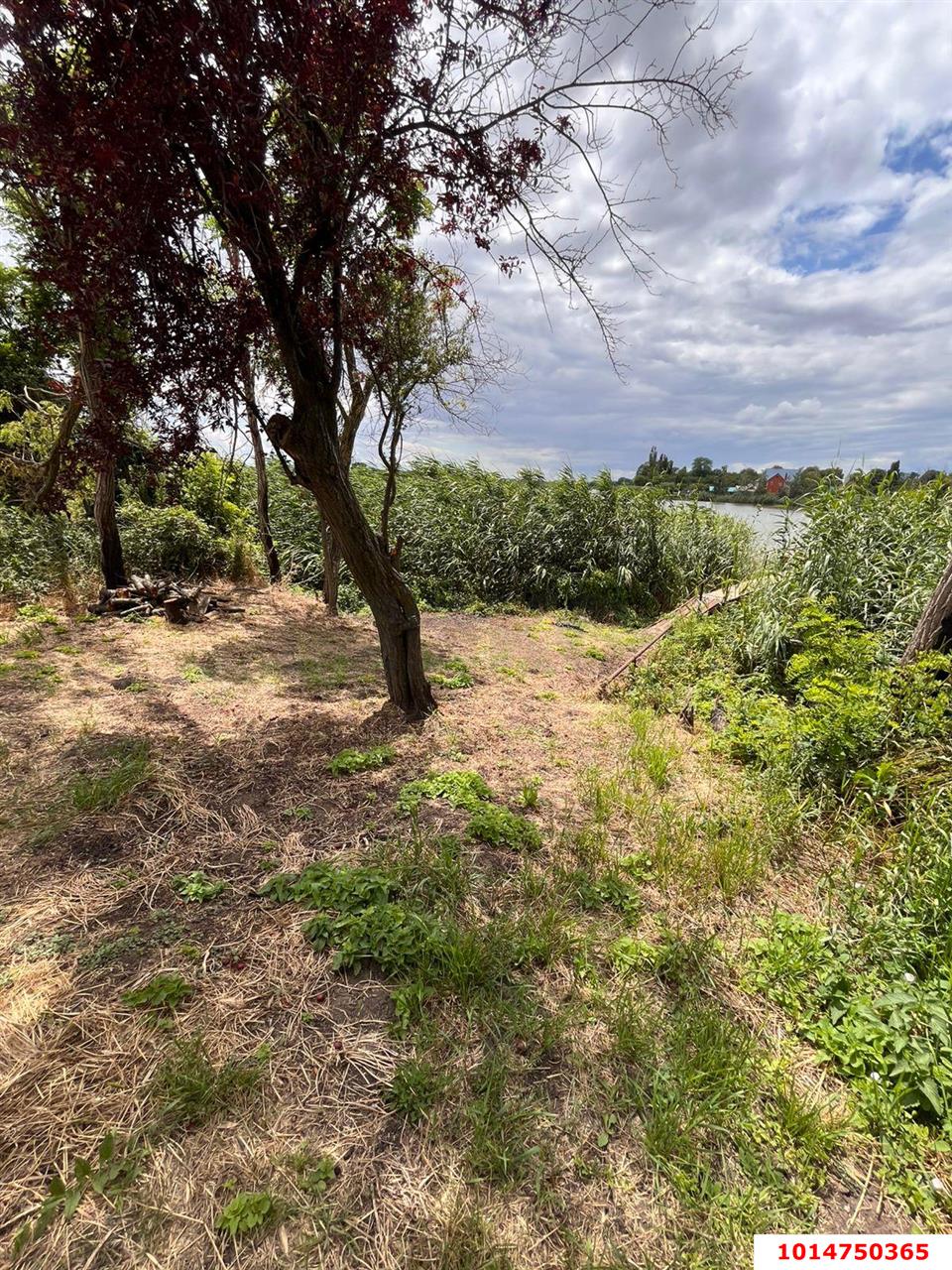 Фото №5: Земельный участок 28 сот. - Медвёдовская, ул. Московская, 25