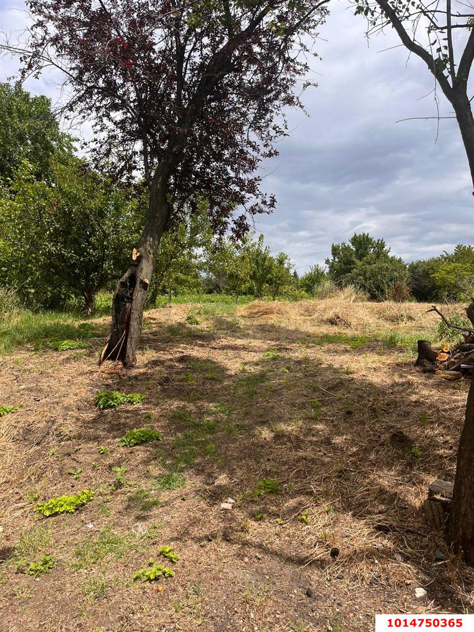 Фото №9: Земельный участок под ИЖС 28 сот. - Медвёдовская, ул. Московская, 25