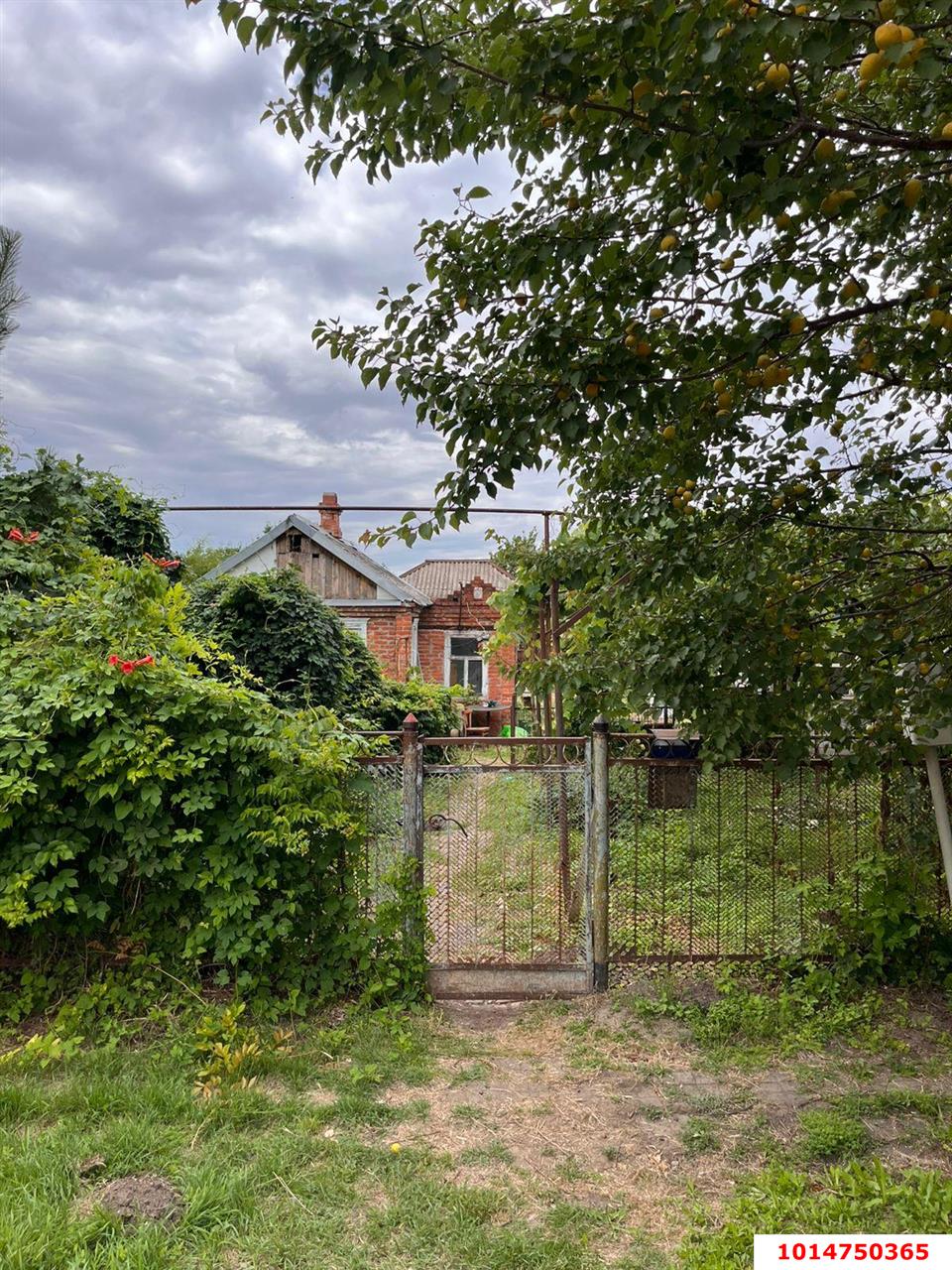 Фото №10: Земельный участок 28 сот. - Медвёдовская, ул. Московская, 25