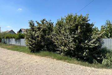 Фото №3: Участок садоводство 4 сот. - ТЭЦ, мкр. Прикубанский внутригородской округ, ул. Малиновая, 75