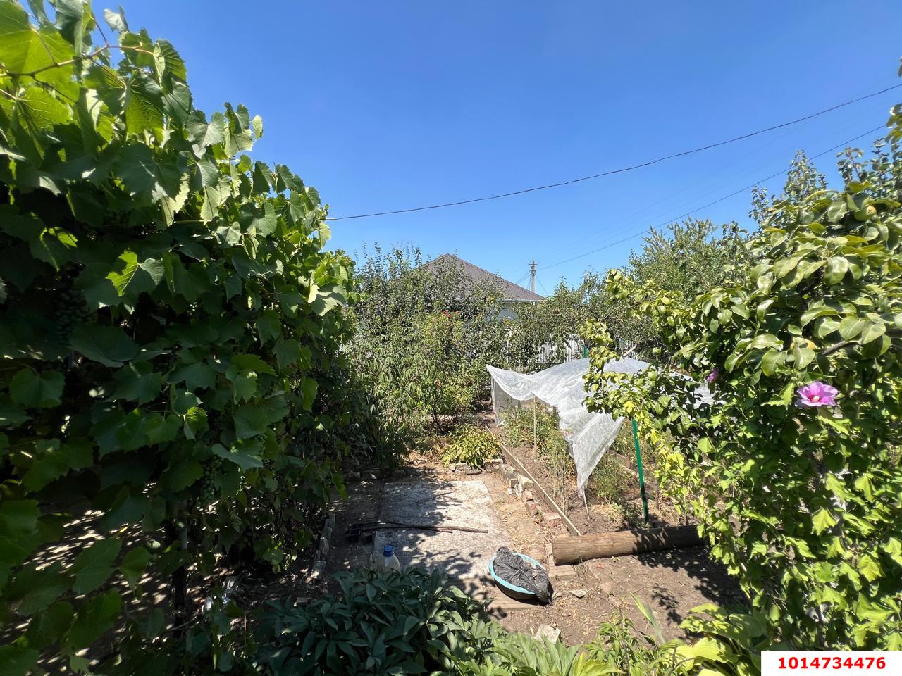 Фото №8: Участок садоводство 4 сот. - ТЭЦ, мкр. Прикубанский внутригородской округ, ул. Малиновая, 75