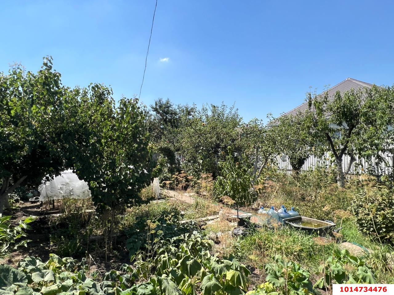 Фото №10: Участок садоводство 4 сот. - ТЭЦ, Прикубанский внутригородской округ, ул. Малиновая, 75