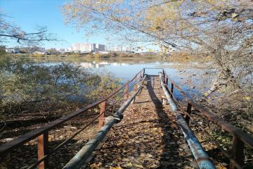 Фото №5: Земельный участок 5.36 сот. - Восход-2, ул. Садовая, 94