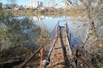 Фото №5: Участок садоводство 5.36 сот. - Восход-2, ул. Садовая, 94