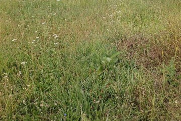 Фото №2: Земельный участок под ИЖС 8.8 сот. - Абинск, ул. Изумрудная, 37