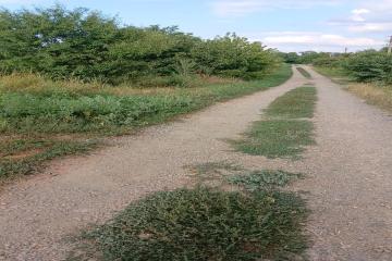 Фото №5: Земельный участок 8.8 сот. - Абинск, ул. Изумрудная, 37