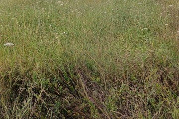 Фото №3: Земельный участок под ИЖС 8.8 сот. - Абинск, ул. Изумрудная, 37