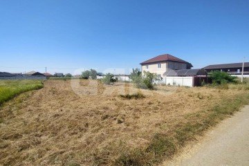 Фото №4: Личное подсобное хозяйство - Кучугуры, ул. Виноградная, 43