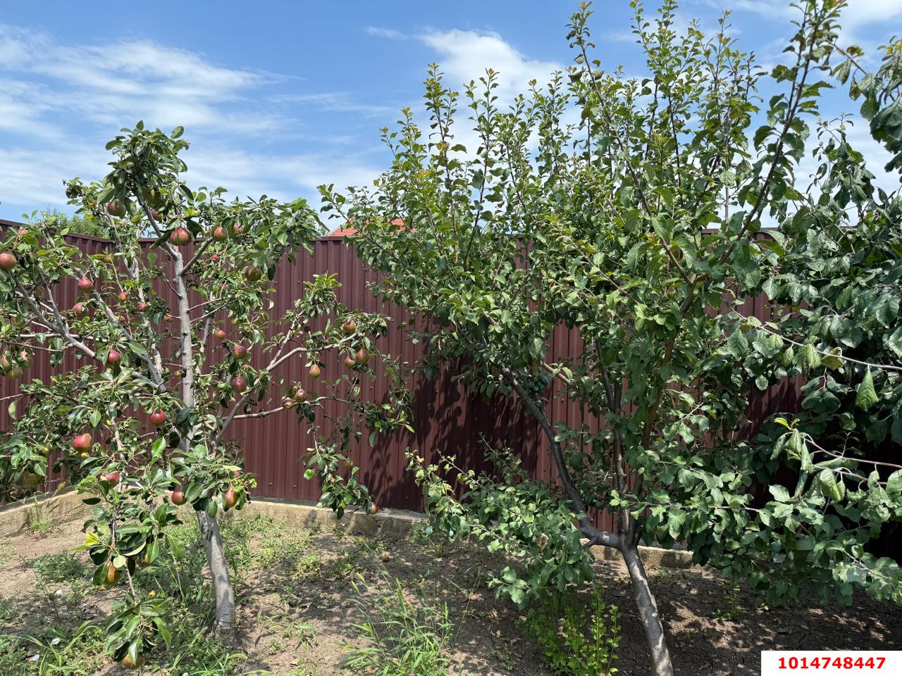 Фото №14: Дом 105 м² + 5 сот. - Морозовский, ул. Тельмана, 66