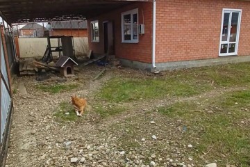 Фото №3: Дом 110 м² - Кубанская, ул. Пролетарская, 33А