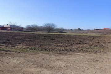 Фото №3: Земельный участок 4.9 сот. - СНТ Урожайное, мкр. Прикубанский внутригородской округ, ул. Алычёвая, 16