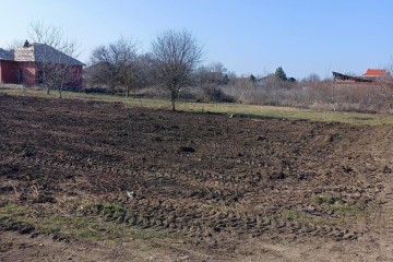 Фото №3: Участок садоводство 4.9 сот. - СНТ Урожайное, мкр. Прикубанский внутригородской округ, ул. Алычёвая, 16