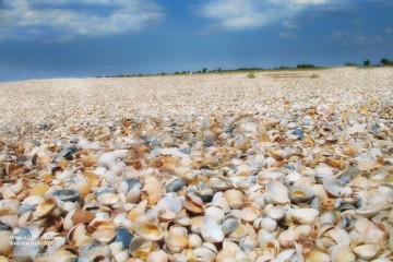 Фото №4: Земельный участок под ИЖС 6.77 сот. - Бородинская, ул. Морская, 28/1