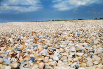 Фото №4: Земельный участок 6.77 сот. - Бородинская, ул. Морская, 28/1