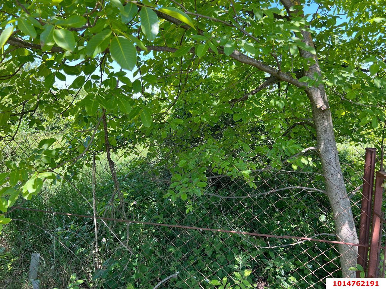 Фото №7: Участок садоводство 6 сот. - Авиатор, Прикубанский внутригородской округ, ул. Парковая, 101