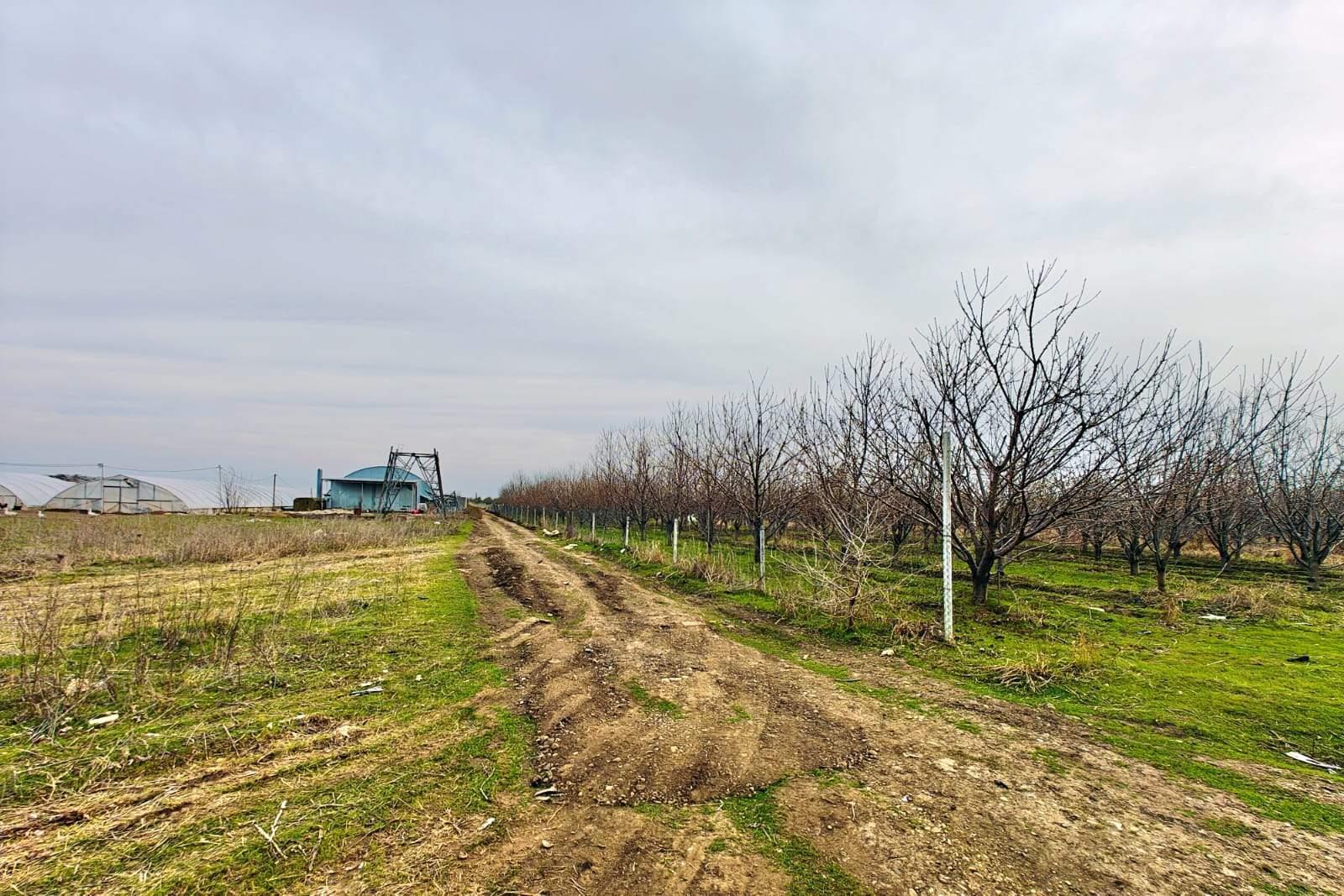 Фото №5: Коммерция 134000 м² - Краснодар, мкр. Западный внутригородской округ, ул. Красная, 127