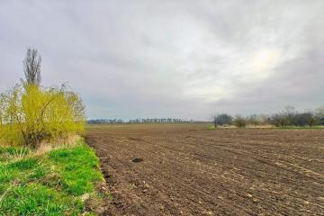 Фото №3: Коммерция 134000 м² - Краснодар, мкр. Западный внутригородской округ, ул. Красная, 127