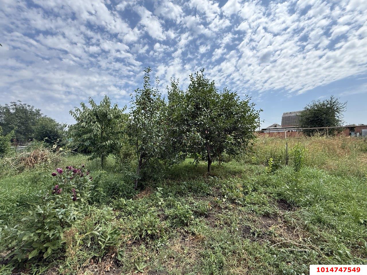 Фото №9: Дом 45 м² + 11 сот. - Новотитаровская, ул. Крупской, 61