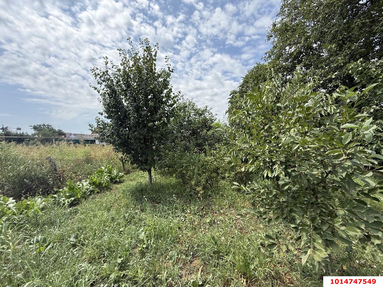 Фото №11: Дом 45 м² + 11 сот. - Новотитаровская, ул. Крупской, 61