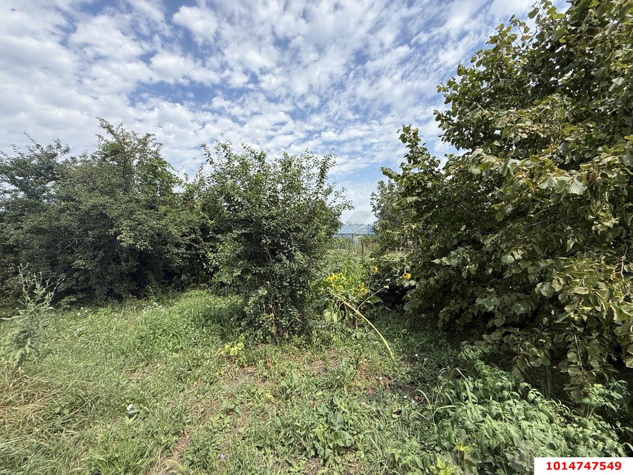 Фото №12: Дом 45 м² + 11 сот. - Новотитаровская, ул. Крупской, 61