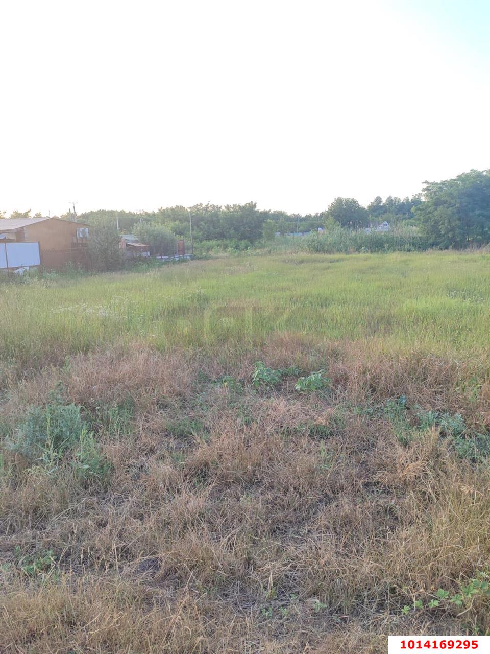 Фото №3: Участок садоводство 4.7 сот. - Дружба, Карасунский внутригородской округ, ул. Сливовая, 9