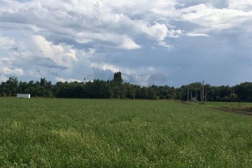 Фото №2: Коммерческая земля 180 сот. - Победитель, мкр. Прикубанский внутригородской округ, ул. Новокубанская, 8