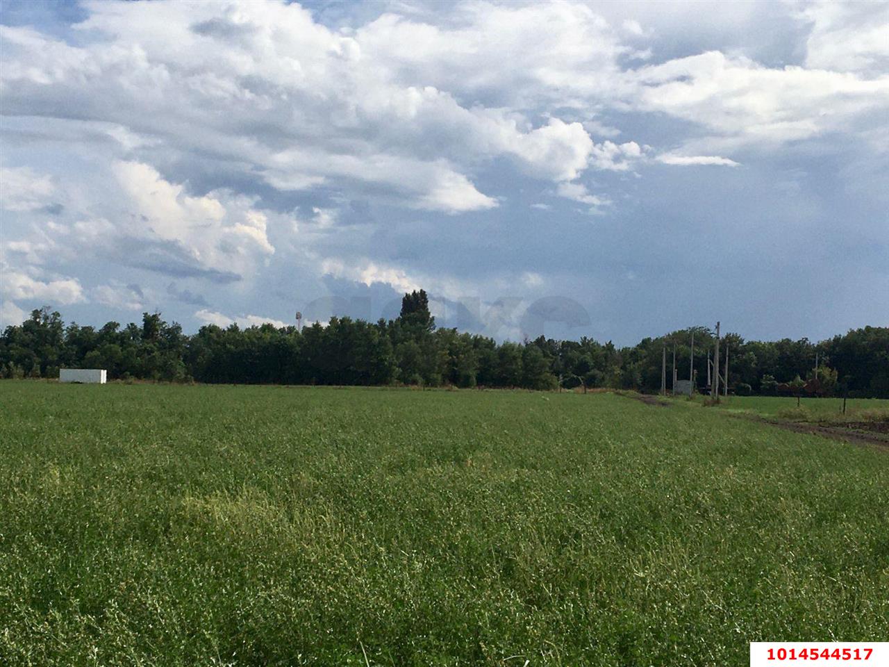 Фото №2: Коммерческая земля 180 сот. - Победитель, Прикубанский внутригородской округ, ул. Новокубанская, 8