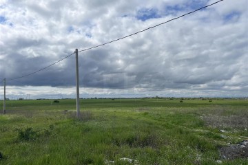 Фото №1: Коммерческая земля 996 сот. - Кочкин, ул. Логистическая, 1