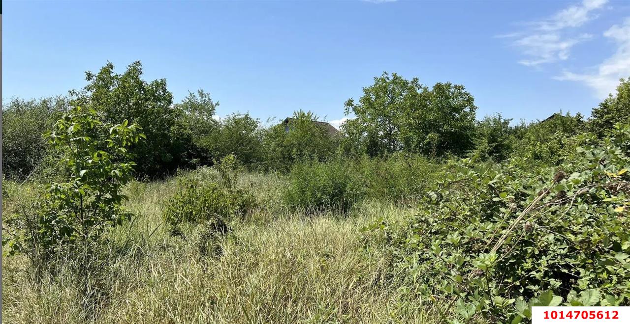 Фото №4: Личное подсобное хозяйство - СНТ Мелиоратор-1, ул. Абрикосовая