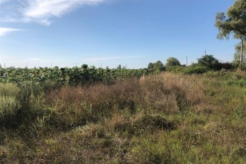 Фото №5: Коммерческая земля 287 сот. - Энем, ул. Первомайская