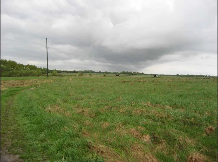 Фото №6: Коммерция 287 м² - Энем, ул. Первомайская