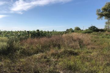 Фото №5: Коммерция 287 м² - Энем, ул. Первомайская