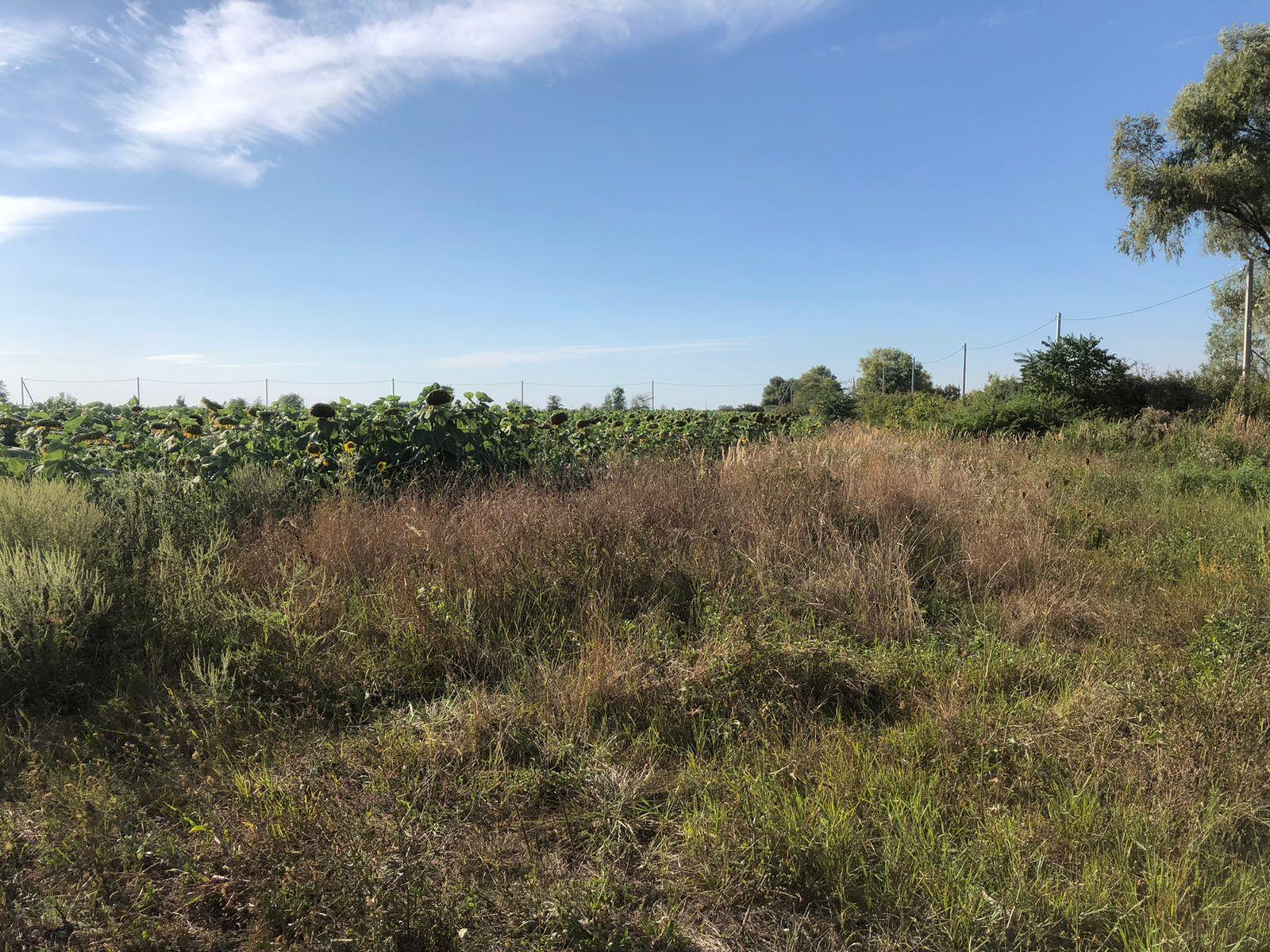 Фото №5: Коммерция 287 м² - Энем, ул. Первомайская